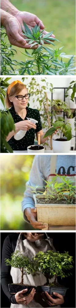 Carbo.Zero GROW 6,5 l – Wachstumsbeschleuniger