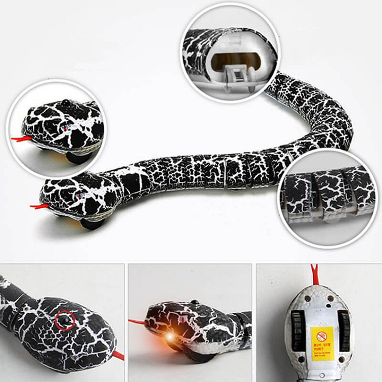 Had MrWiggles na dálkové ovládání