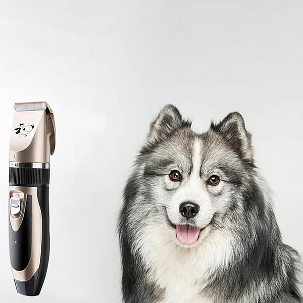 Elektrický strojek pro zvířata