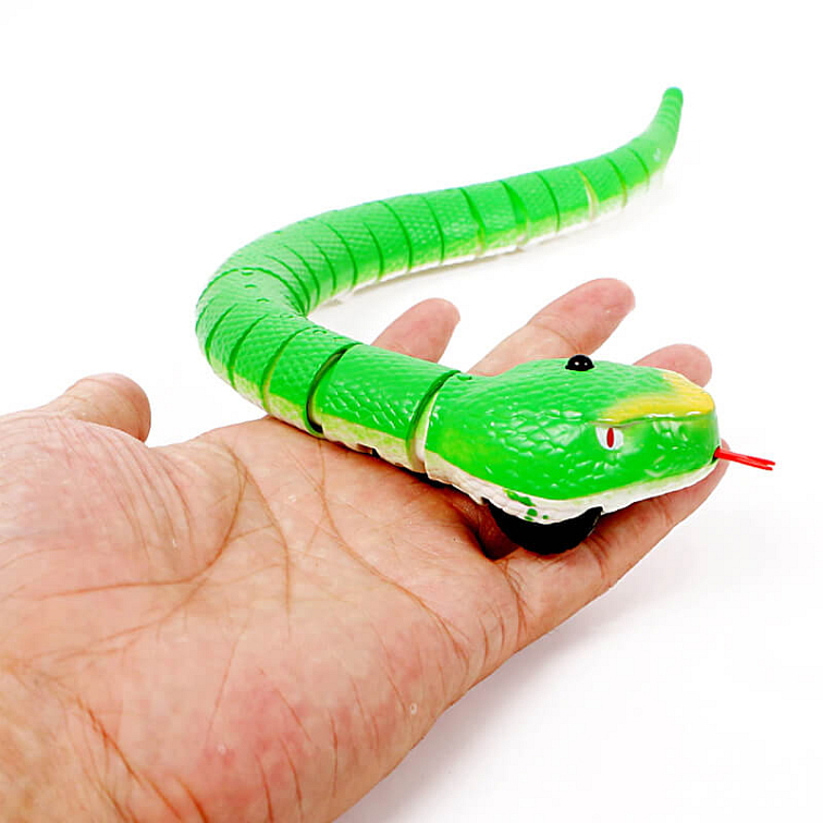 Had MrWiggles na dálkové ovládání