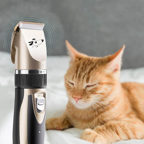 Elektrický strojek pro zvířata