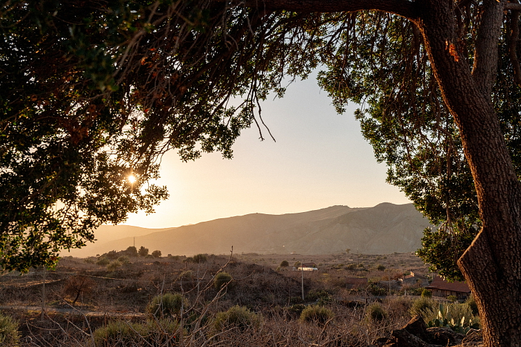 Lískooříšková zmrzlina