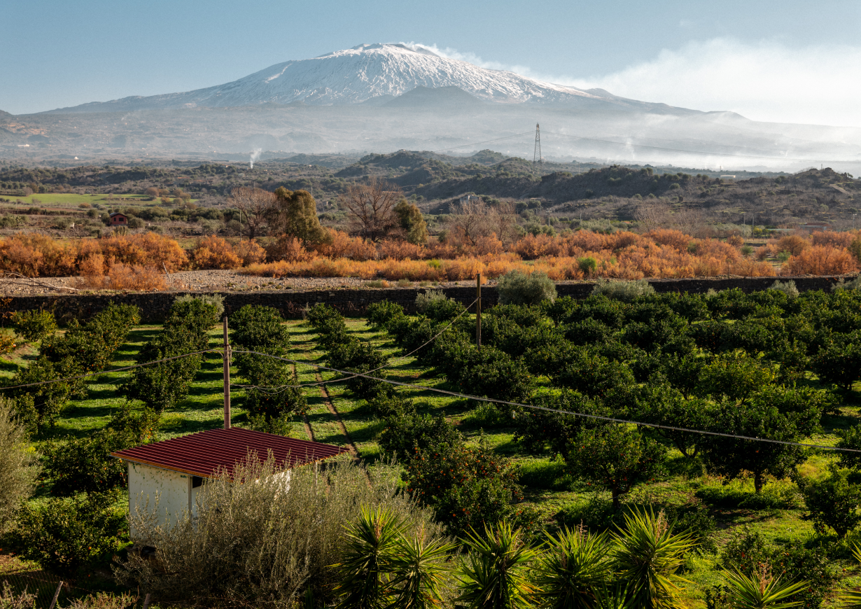 Krém z mandlí Avola