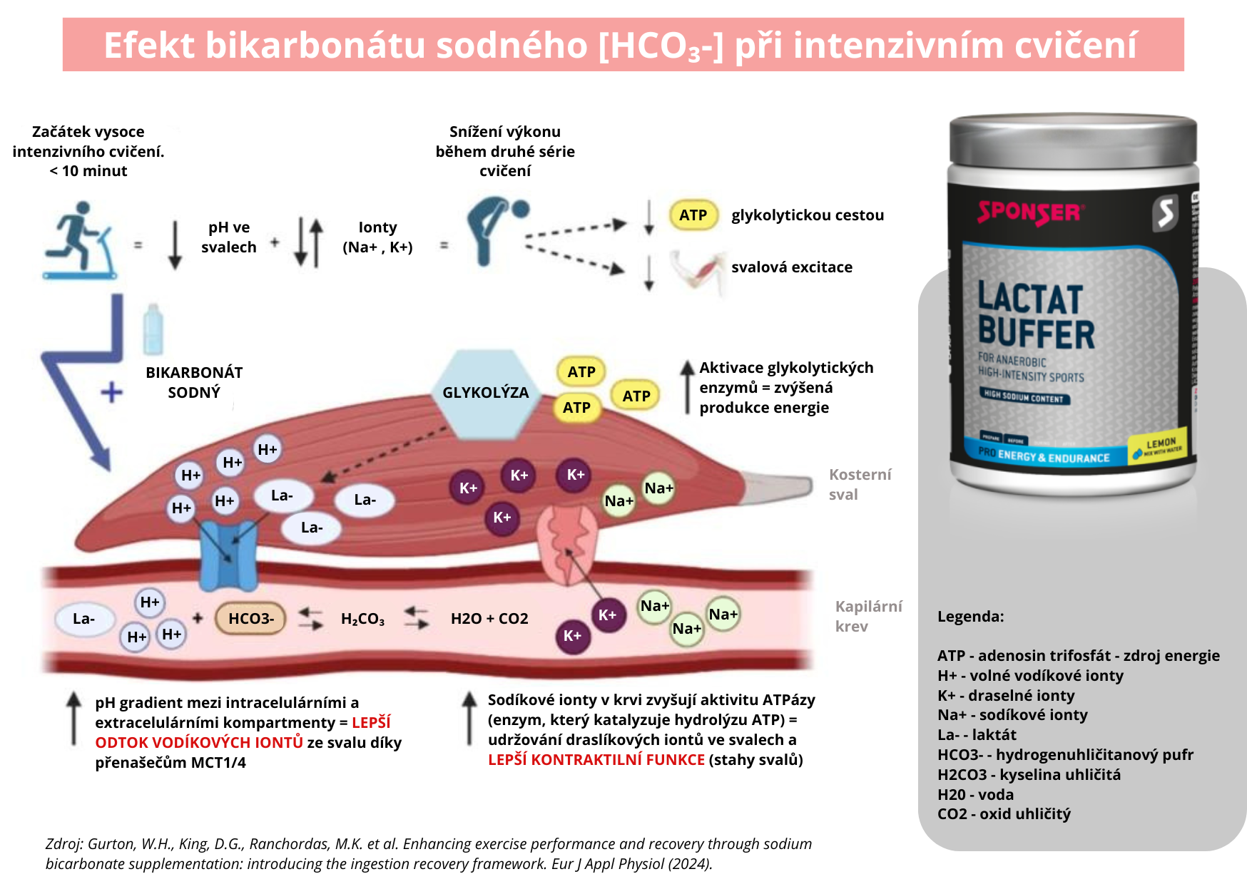 Laktát - důležitý ukazatel v oblasti sportu i medicíny