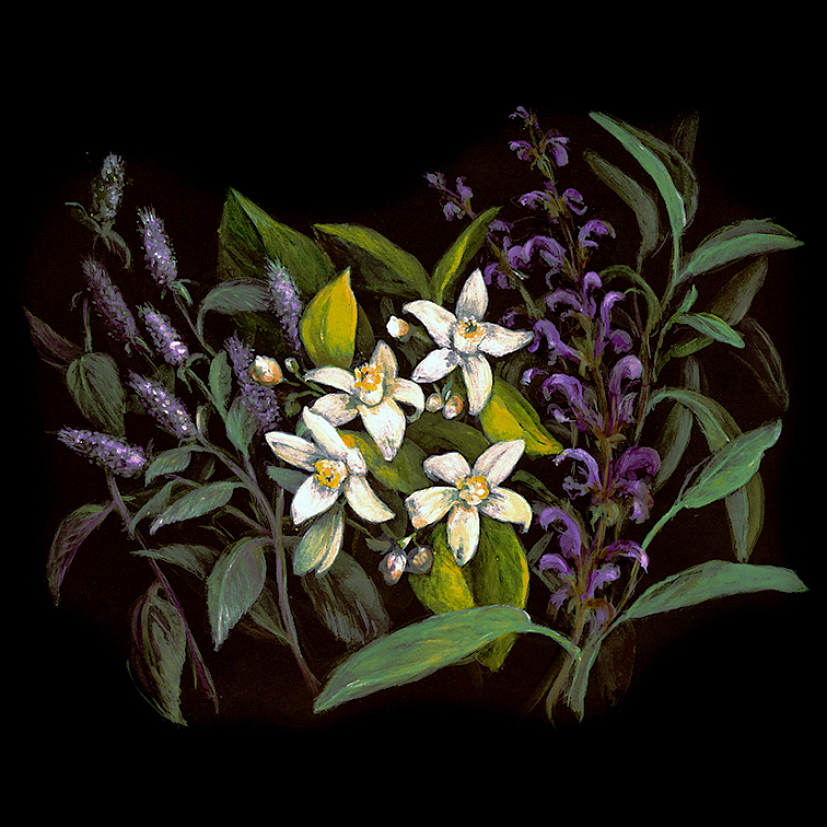 Příběh MCELY BOUQUET