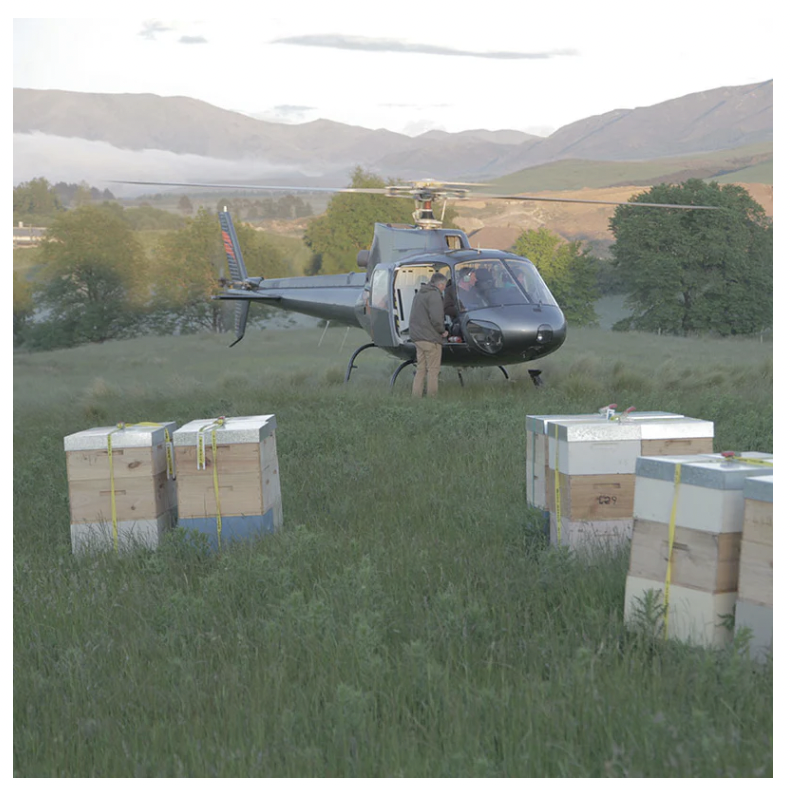 Mount Somers Mānuka UMF 5+