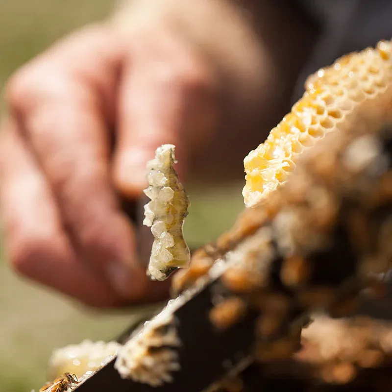 Mount Somers Kāmahi Honey