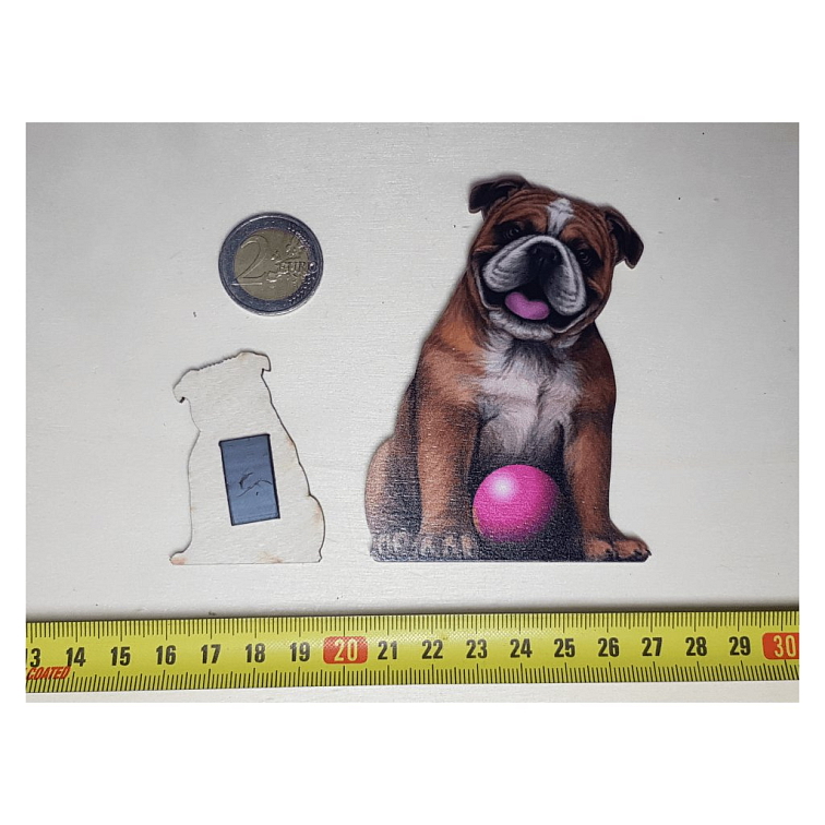 Hravý pes BullDog - Drevená magnetka - CoolArts