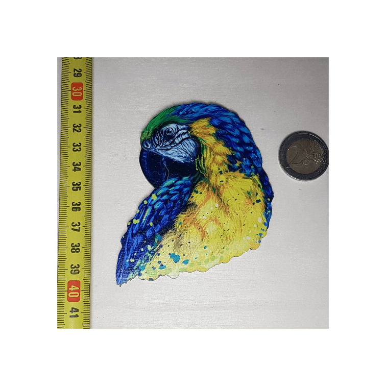 Čarovný papagáj - Drevená magnetka - CoolArts