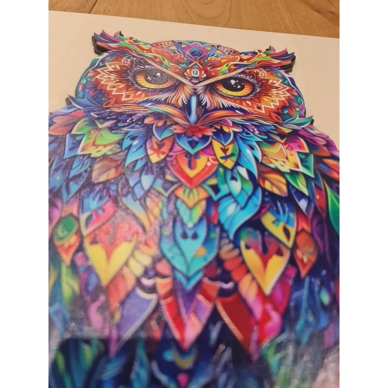 Žiarivá sova - Drevený obraz na stenu