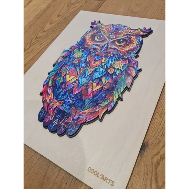 Žiarivá sova - Drevený obraz na stenu