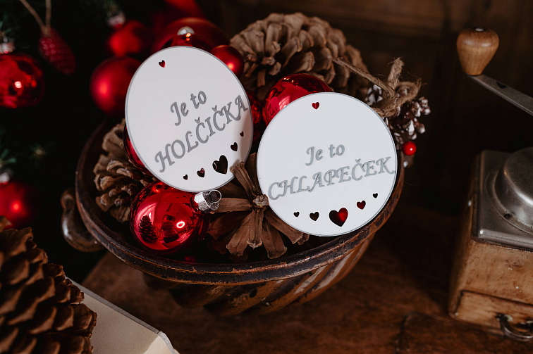 Těhotenské milníkové kartičky