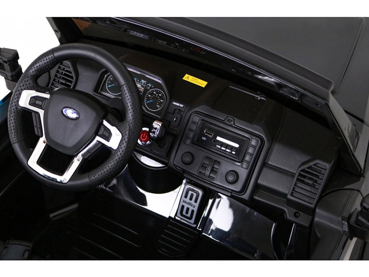 Dětský elektrický Ford Super Duty | 180W | černá