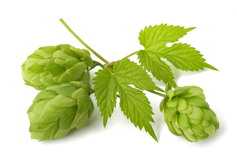 Spánok kvapky 10 ml