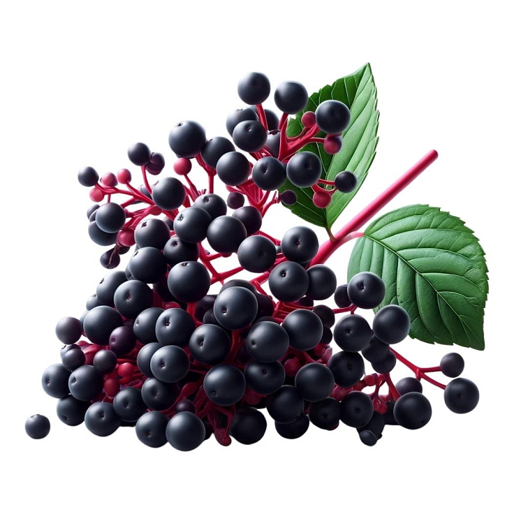 Melatonin sprej 10 ml