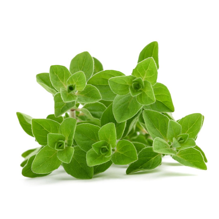 Dýchací systém kvapky 10 ml