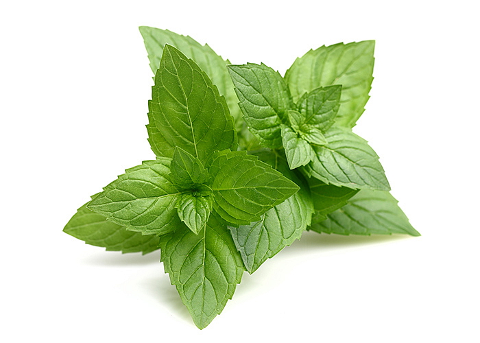 Supergreens Originál Máta 90 g