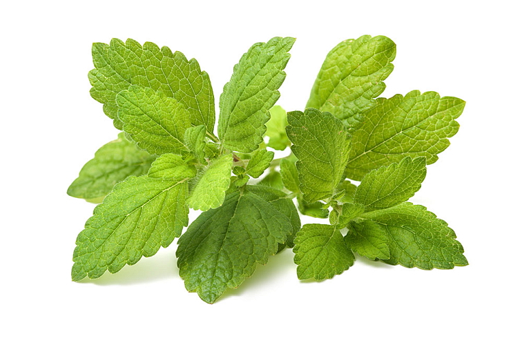 Spánok kvapky 10 ml