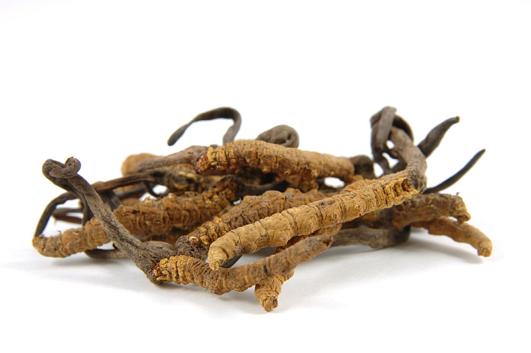 Mushrooms BIO Organic 60 kapslí