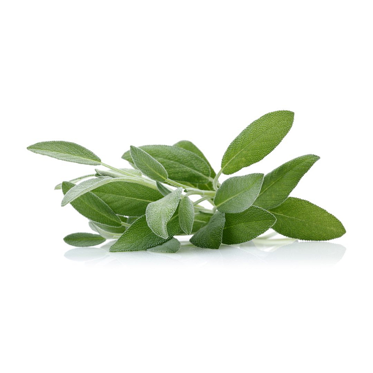 Dýchací systém kvapky 10 ml