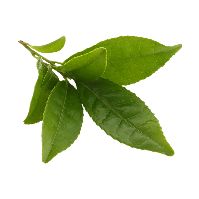 Glucose Control 60 kapsúl