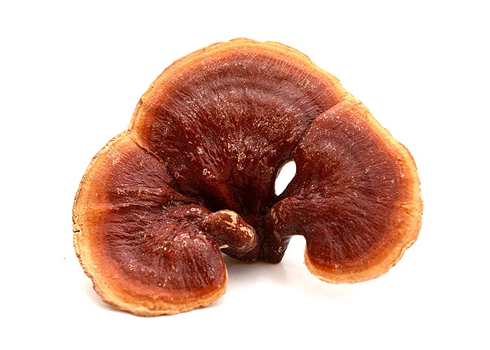 Reishi BIO Organic 90 kapslí