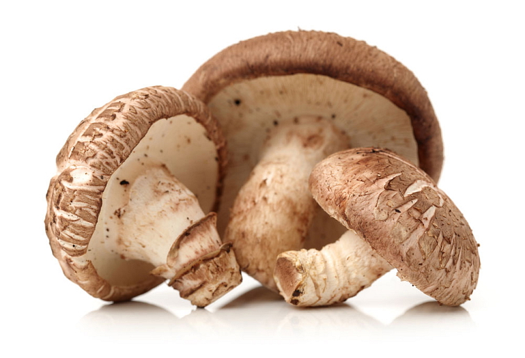 Mushrooms BIO Organic 60 kapslí