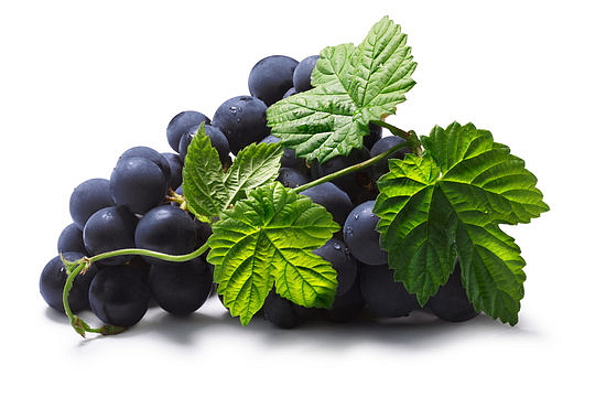 Resveratrol 60 kapslí