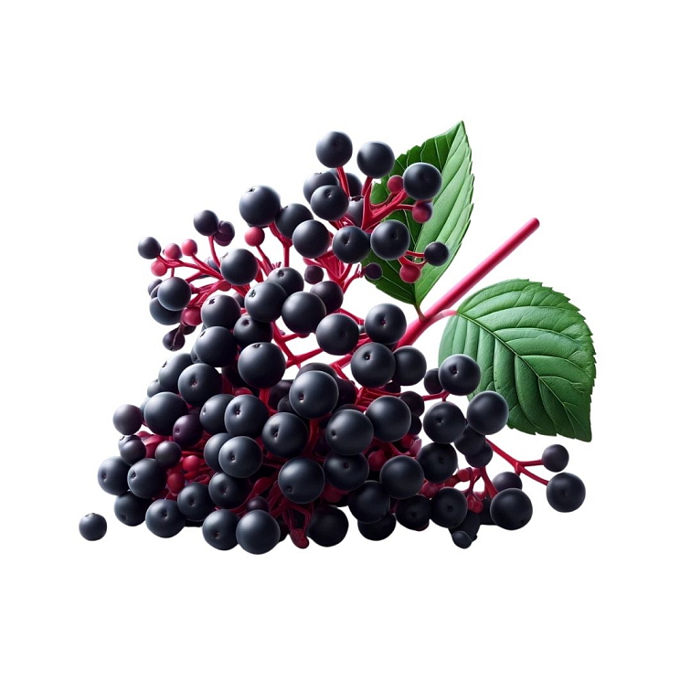 Immunity Shot pro děti s propolisem a beta-glukany 10 ml