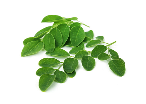 Moringa BIO Organic 90 kapslí
