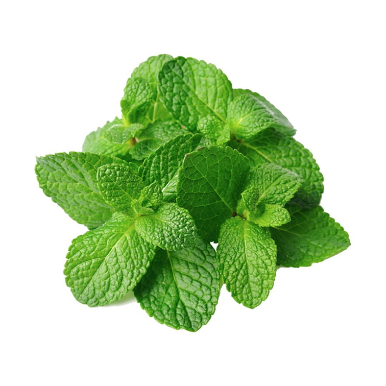 Trávenie kvapky 10 ml