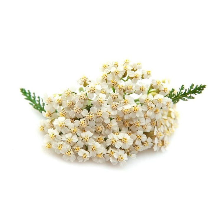 Dýchací systém kvapky 10 ml