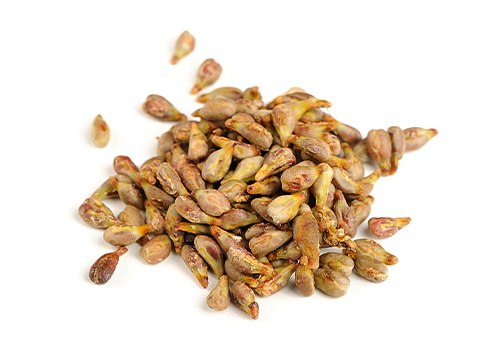 Man’s Vitality 60 kapslí