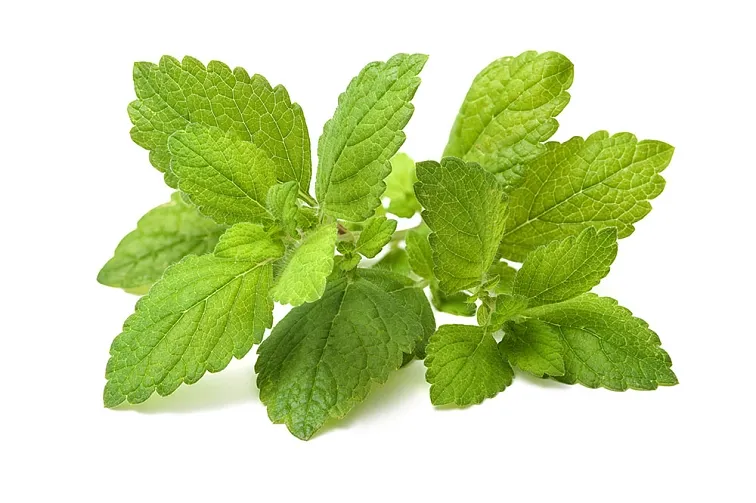 Hormonální rovnováha menstruační komfort kapky 10 ml