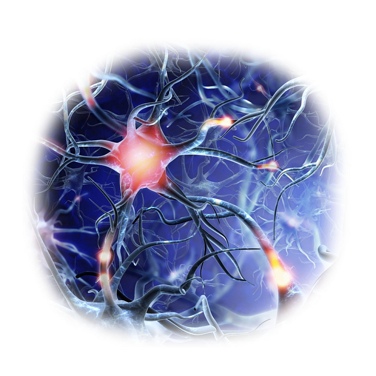 Hořčík Treonát 90 kapslí