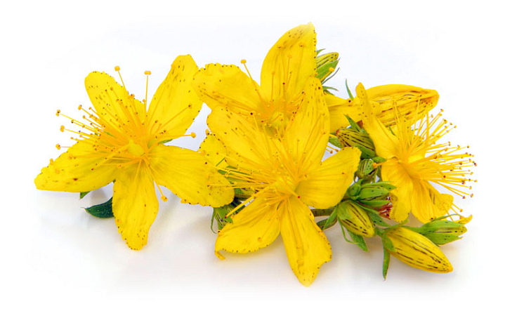 Třezalka olejové kapky 10 ml