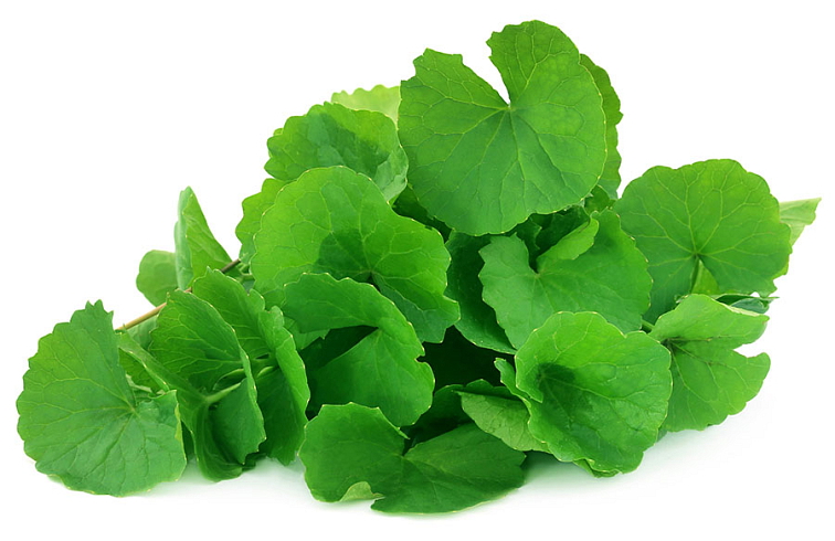 Gotu kola 90 kapslí