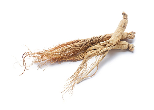 Power Ginseng 60 kapslí