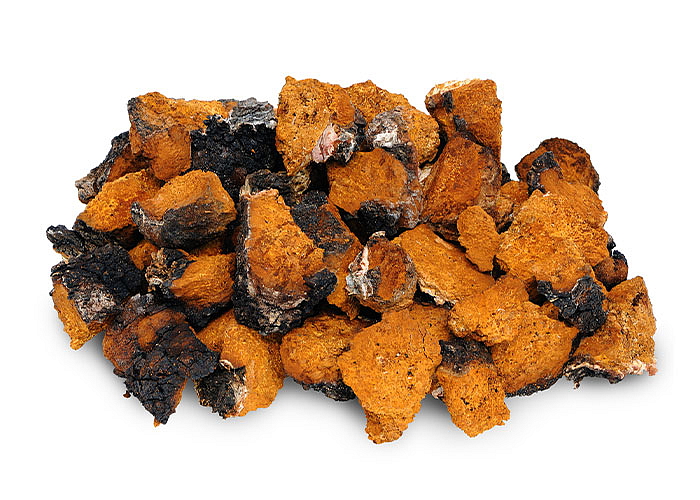 Mushrooms BIO Organic 60 kapslí