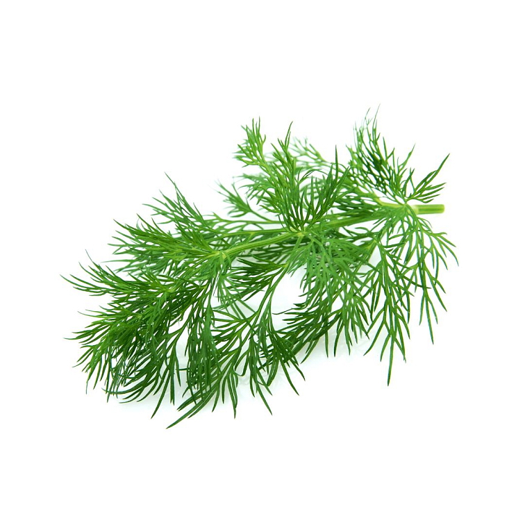 Trávenie kvapky 10 ml