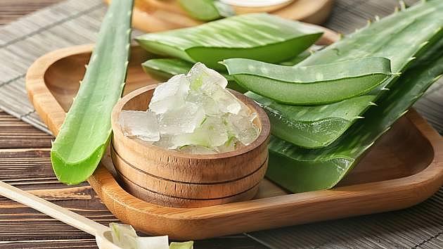 ECOLATIER - Šamponový peeling na vlasy a pokožku hlavy, detox a hydratace, ALOE VERA, 300 g