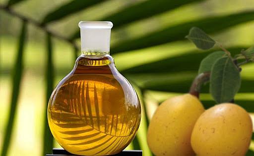 ECOLATIER - Šamponový peeling na vlasy a pokožku hlavy, zdraví a krása, MARULA, 300 g