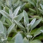 ECOLATIER - 8v1 Dětský přírodní komplex, přísada do koupele 0+, 250 ml