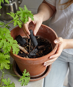 Vodní filtr z aktivního biouhlu - Binchotanová tyčinka