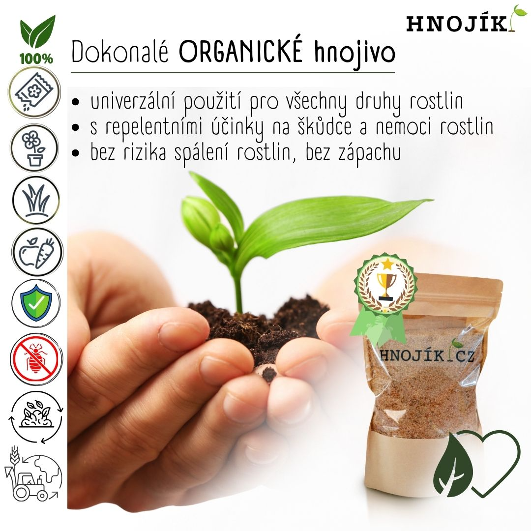 Hnojik