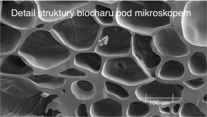 Biochar 1 l, aktivní uhlí k rostlinám