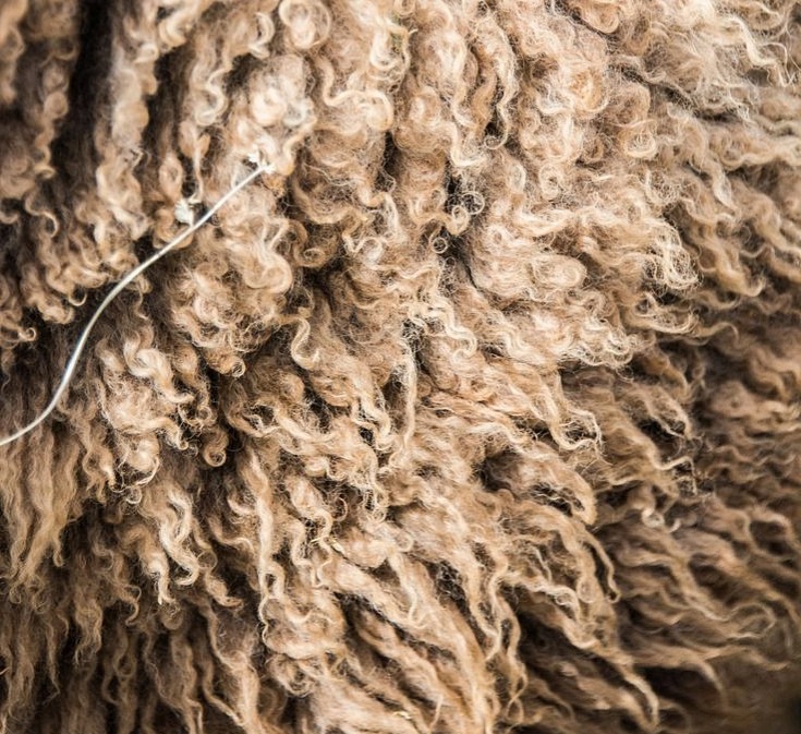 OVČiK - peletky 6 L - organické hnojivo z ovčí vlny