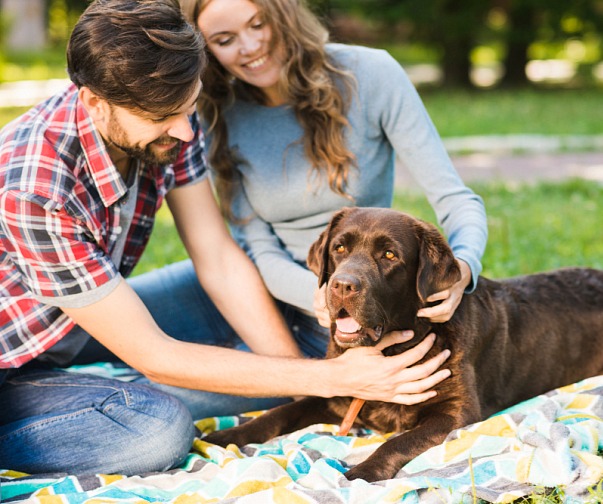 BLACK BALLS 500 g - psí kuličky s biocharem/aktivním uhlím