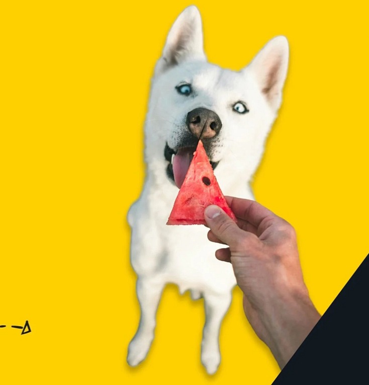 Poop Good s aktivmním uhlím 100 g - pro správné zažívání