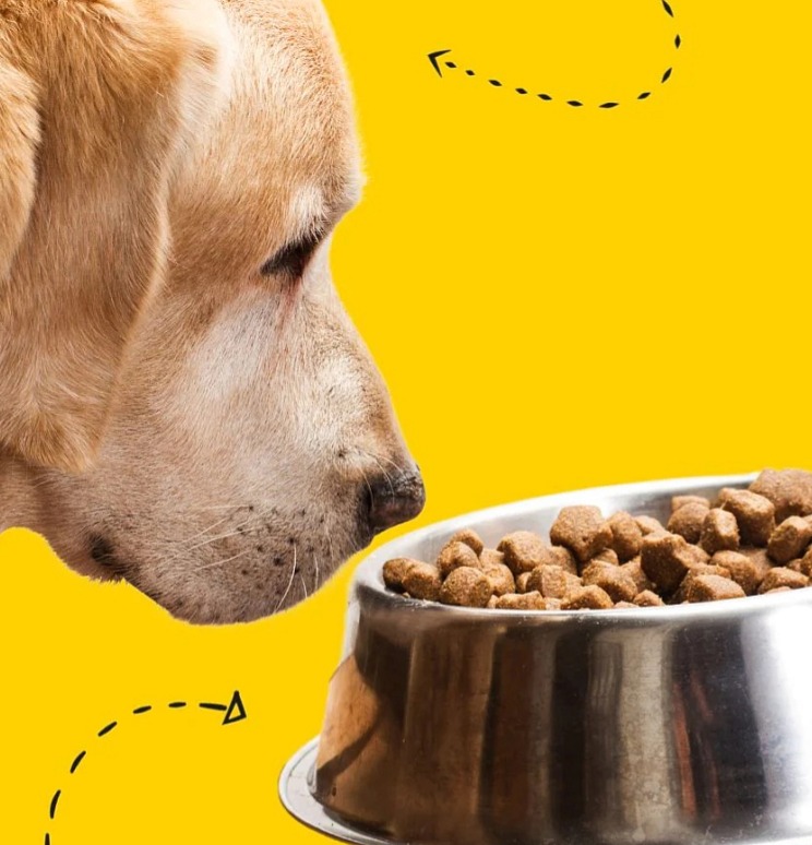 Imunovital 200 g | Podpora vitality a imunity